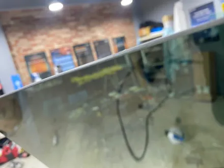 테슬라 모델Y 하버캠프 세라믹본드로 신차패키지! / 구리 토평동