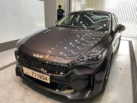 2022 기아 스팅어 글라스틴트 레이니블루, 파인뷰 LX5000 신차패키지 썬팅 / 구리 남양주 의정부 하남 양주 갈매 별내 다산 신차검수 썬팅 신차패키지 / 구리 토평동