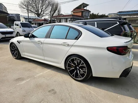 마지막 F바디 BMW M5 출고 후 반반사 썬팅 글라스틴트 레이니블루와 본넷 PPF 했어요 - 하남 하이코어 카핏 / 구리 토평동