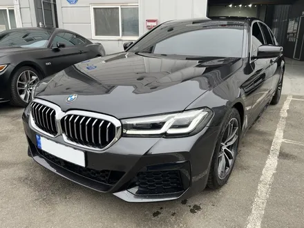 BMW 5시리즈 구리 PPF 선택 방법! 생활보호 7종, 실내 PPF 패키지 / 구리 토평동