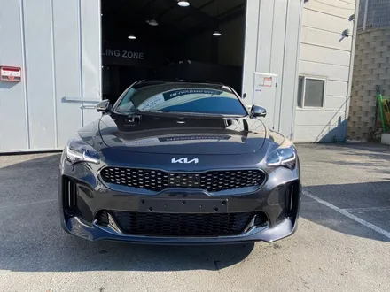 2022 기아 스팅어 글라스틴트 레이니블루, 파인뷰 LX5000 신차패키지 썬팅 / 구리 남양주 의정부 하남 양주 갈매 별내 다산 신차검수 썬팅 신차패키지 / 구리 토평동