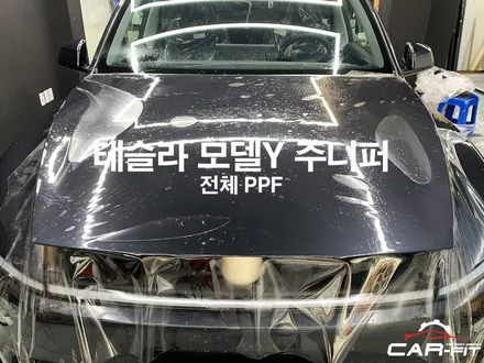 테슬라 출고 후 바로 전체 PPF 이래서 필수라 불립니다 / 광명 광명동