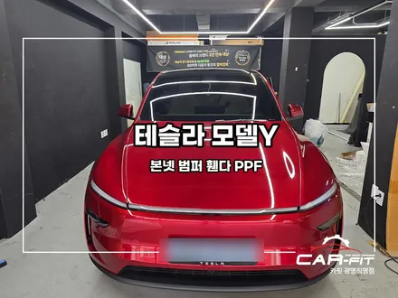 주니퍼 모델Y, PPF 꼭 해야 하는 이유 / 광명 광명동