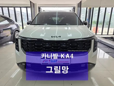 오산 평택 그릴망 시공 [ 카니발 KA4 ] / 평택시 진위면
