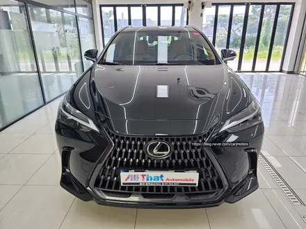 평택 오산 재썬팅 [ 수입차 / 렉서스 NX450H+ ] 틴큐브 틴팅 패키지 작업 / 평택시 진위면