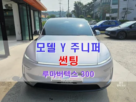 오산 평택 모델 Y 주니퍼 썬팅 루마버텍스 900 + 신차 검수 + PPF / 평택시 진위면