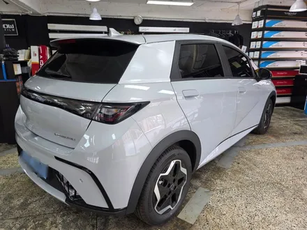 성북구 레이노 썬팅 BYD 돌핀 신차검수 블랙박스 시공 후기 / 서울 성북구 삼선동4가