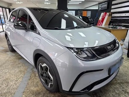 성북구 레이노 썬팅 BYD 돌핀 신차검수 블랙박스 시공 후기 / 서울 성북구 삼선동4가