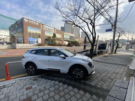 스포티지 NQ5 신차패키지, 썬팅, PPF (울산/덕신/온산) / 울산광역시 울주군