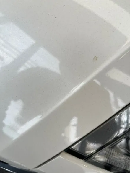 온산 쏘나타 DN8 썬팅& 자차광택 | 쏘나타 DN8 썬팅 재시공 & 낙진 제거 광택 | 🚗 쏘나타 DN8, 신차 같은 외관으로 리턴 완료! / 울산광역시 울주군