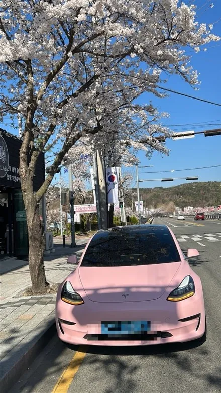울산 테슬라 모델3 전체 랩핑 / 테슬라 모델3 벚꽃색 랩핑 / 테슬라 모델3 딸기우유색 랩핑 / 테슬라 무광 랩핑 / 니파 무광 랩핑 / 📮 테슬라 랩핑 어디까지 해봤니? / 울산광역시 울주군