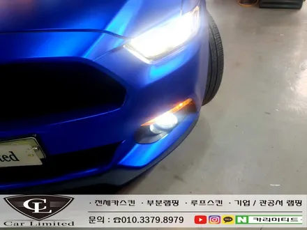 포드 머스탱 전체랩핑 시공 / Professional Wrapping Shop CAR Limited[카리미티드] / 인천랩핑 / 구월동랩핑 / 인천 남동구 구월동