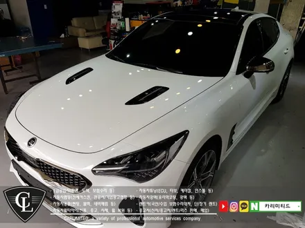 기아 스팅어 루프스킨, 부분랩핑 시공 / Professional Wrapping Shop CAR Limited / 인천랩핑 / 인천 남동구 구월동