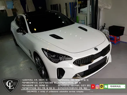 기아 스팅어 루프스킨, 부분랩핑 시공 / Professional Wrapping Shop CAR Limited / 인천랩핑 / 인천 남동구 구월동