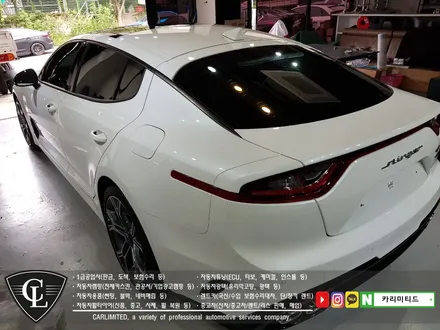 기아 스팅어 루프스킨, 부분랩핑 시공 / Professional Wrapping Shop CAR Limited / 인천랩핑 / 인천 남동구 구월동