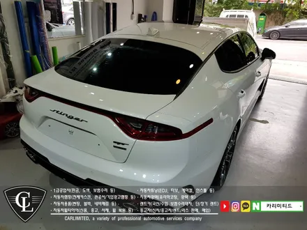 기아 스팅어 루프스킨, 부분랩핑 시공 / Professional Wrapping Shop CAR Limited / 인천랩핑 / 인천 남동구 구월동