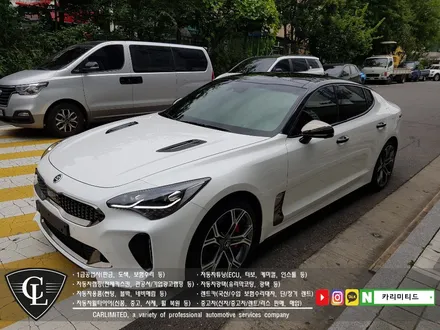 기아 스팅어 루프스킨, 부분랩핑 시공 / Professional Wrapping Shop CAR Limited / 인천랩핑 / 인천 남동구 구월동