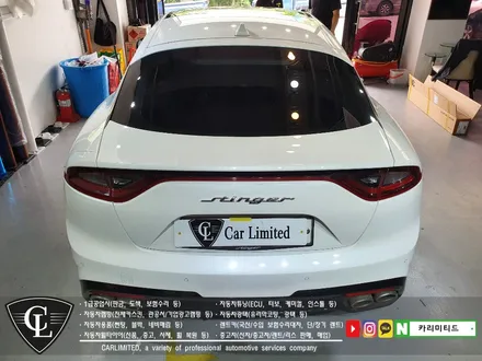 자동차랩핑#35 기아 스팅어 루프스킨 시공 / Professional Wrapping Shop CAR Limited / 인천 남동구 구월동