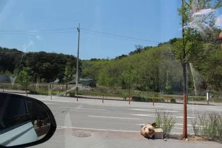 춘천신차패키지 포시즌블랙 풀PPF 본넷 + 4도어 + 바닥모노륨 / 춘천시 동면