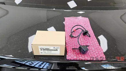 대전 제네시스BH 순정 후방카메라 고장으로 교체 / 대전 대덕