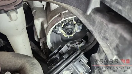 캠리 하이브리드 전조등 제논 HID벌브 교체하기 / 대전, 청주, 세종