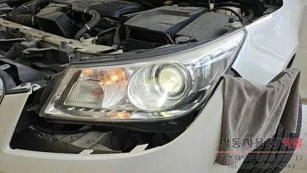 대전 알페온 전조등 제논 HID벌브(헤드라이트, 램프, 전구) 교체 필립스 D1S 4200K / 대전 대덕