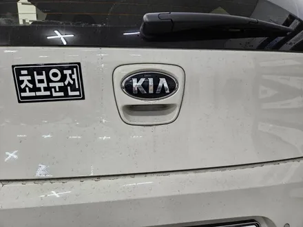 제주 올뉴 모닝 케이픽 안드로이드 올인원 네비, AHD 후방카메라 설치 작업 / 제주시 오라삼동