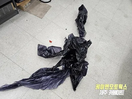 제주 올뉴카니발 썬팅 재시공 작업 / 가성비 좋은 나노필름 NF4 시공 / 제주시 오라삼동