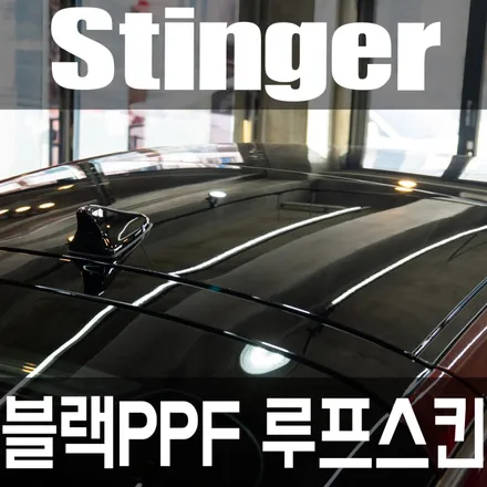 부산 명지 블랙 ppf 스팅어 루프스킨 시공기 블랙 PPF로 내 차 보호와 드레스업까지 / 부산 강서구