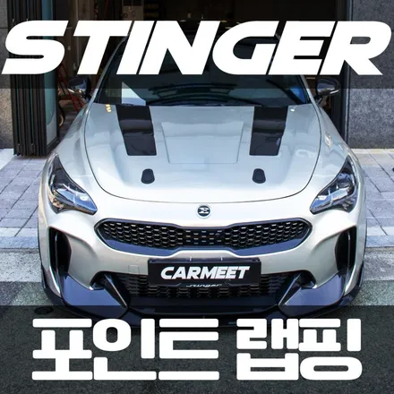 부산 부분랩핑 스팅어 비닐프로그 고광택 필름으로 포인트 / 부산 명지동