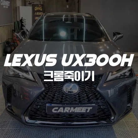 부산 랩핑 렉서스 UX300H 크롬죽이기 후기 (김해 창원) / 부산 명지동