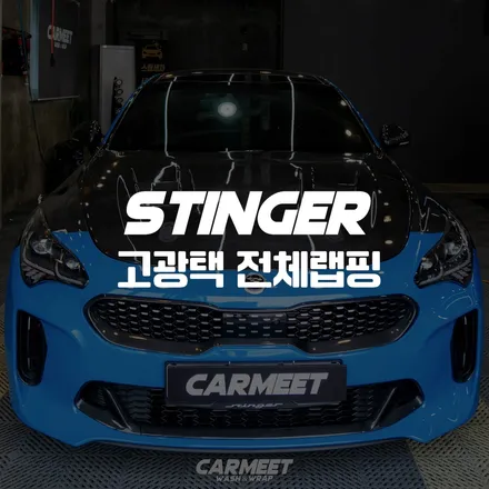 부산 전체랩핑 스팅어 고광택 비닐프로그 다져블루 시공후기 (명지 에코델타) / 부산 명지동