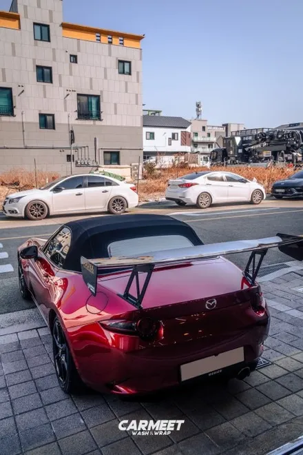 부산 부분 PPF 카본 윙 스포일러 PPF로 상판 보호하기 (명지 에코델타시티) / 부산 명지동
