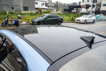 부산 루프스킨 아반떼N 본넷랩핑 블랙으로 확실한 포인트 주기 / 부산 명지동