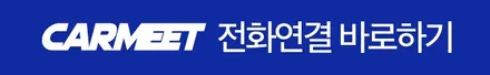 [공지] 부산 명지 전체PPF 제네시스 G90 보호하기 (에코델타시티 김해) / 부산 명지동