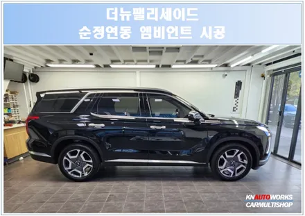 더뉴팰리세이드 순정 연동 엠비언트 / 전주 덕진동