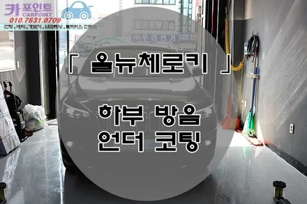 수원 신차 패키지 하부 방음 언더코팅 전문점, MS 실란트 전문 시공점 , 수원 노바 웍스 / 수원 권선