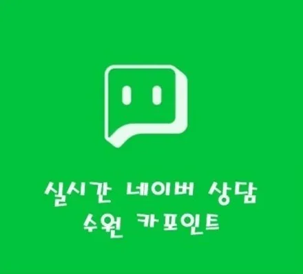 [ 팰리세이드 ] 신차 패키지 / 수원 권선
