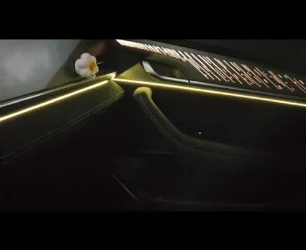 르노 그랑콜레오스 엠비언트 라이트 시공과 로장주 도어스팟 램프 튜닝으로 더 고급스럽게! / 광주 북구