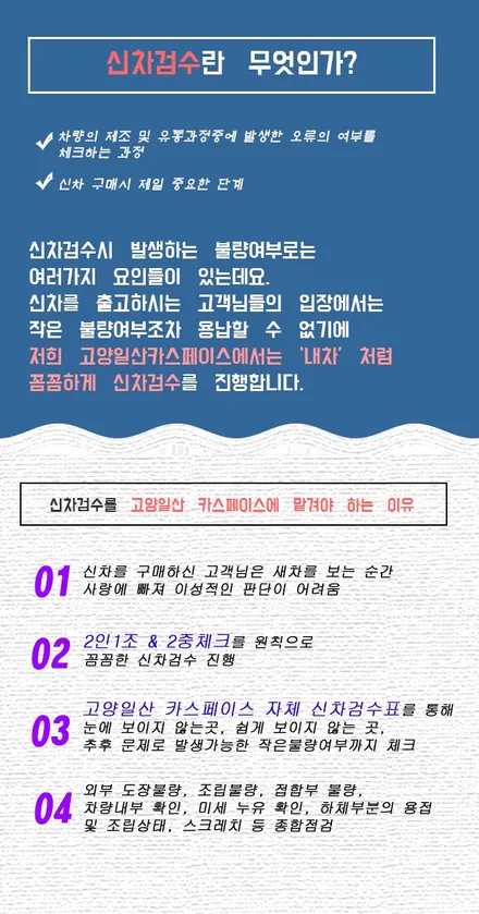 [고양삼송 신차검수]이렇게 디테일한데 무료서비스가 맞나요?? / 고양시 덕양구 삼송동