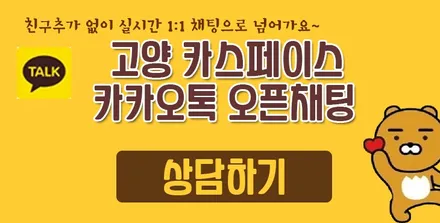 디테일한 신차검수는 선택이 아닌 필수죠~카스페이스 고양일산 신차검수 패키지!! / 고양시 덕양구 삼송동