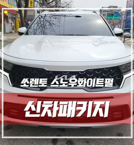 쏘렌토, 루마버텍스1100 + QXD7000 + 방음 + 가죽코팅 신차패키지는 카스페이스 강북점이지! / 서울 광진구, 중곡, 건대