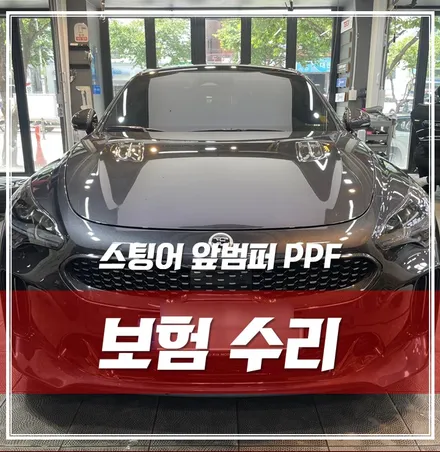 사고 부위 도색, 오렌지필 제거 후 PPF재시공 한 \'스팅어 판테라메탈 강북PPF\' / 서울 광진구, 중곡, 건대