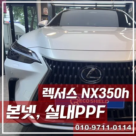 렉서스 NX350h, 본넷PPF + 실내PPF = 든든 \'광진구 PPF\' / 광진구 중곡동