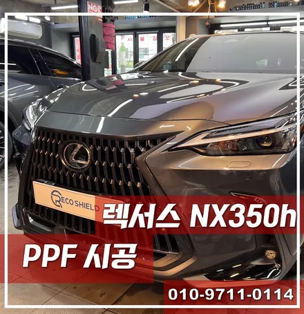 렉서스 NX350h 본넷/범퍼/도어 PPF, 휠 스크래치, 카스페이스 서울강북점 / 광진구 중곡동