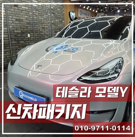 테슬라 모델Y 전면유리 보호는 필수! 리코쉴드 윈드쉴드 시공 후기 (카스페이스 서울강북점) / 광진구 중곡동