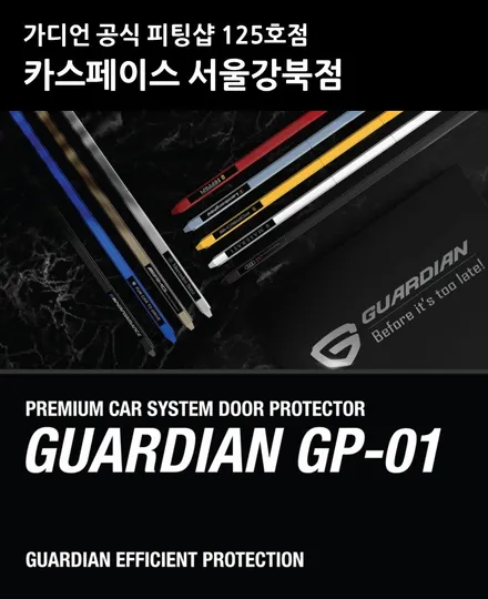 문콕 스트레스 해방! \'가디언도어가드\' 그랜저IG 가디언도어 메탈릭 블랙 23번 장착 / 서울 광진구, 중곡, 건대