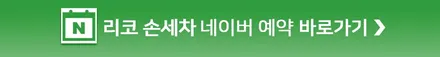 테슬라 모델Y 전면유리 보호는 필수! 리코쉴드 윈드쉴드 시공 후기 (카스페이스 서울강북점) / 광진구 중곡동