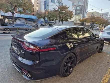 [기아 스팅어 썬팅 재시공] 성능 저하된 기존 필름 제거 후, 리피드 노바로 완벽하게 변신! / 광진구 중곡동