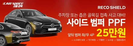 테슬라 모델Y 전면유리 보호는 필수! 리코쉴드 윈드쉴드 시공 후기 (카스페이스 서울강북점) / 광진구 중곡동